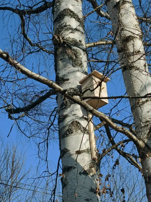 H6sxiT8xp5_8UQ6IU643shBZJ5OU1pRDm1vFDyN8OQ30IFDCp7BC1LSFJ-6-f3I4MMsiO6pf6KlHsh21ACV7lQ6t