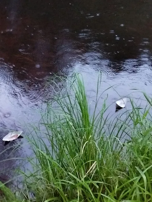 6c2_GKws13R-mPCdIkML_OUMCaZP06kI7Kbj2SMLkKn0ELJD5uk9jgw4VtoPKROR8ZwMTTGtVqKO2-hAOTRGdDxG