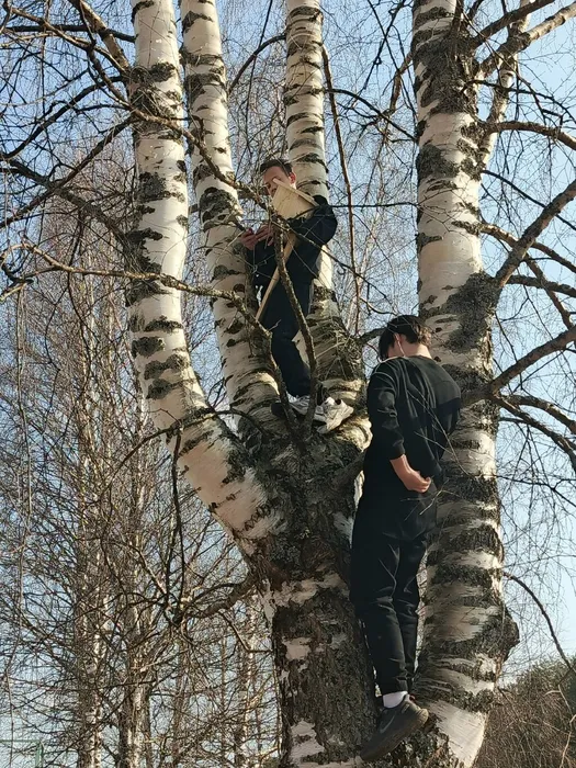 ZpO_B3L8l1-8DhVpImyIK-9xm1JIHwELH4bpGDzdQGzKZn-HLFeQtsgtaue4UXETI_QrFz667bOfyyqm2Nk4P7MC